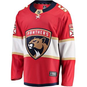 Aaron Ekblad Florida Panthers Player Swingman Jersey